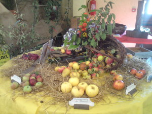 Arboriculteurs photo